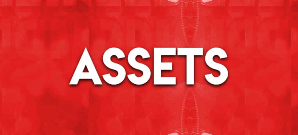 assets-meaning-in-hindi-assets