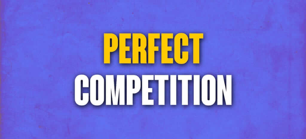 features-of-perfect-competition-perfect-competition