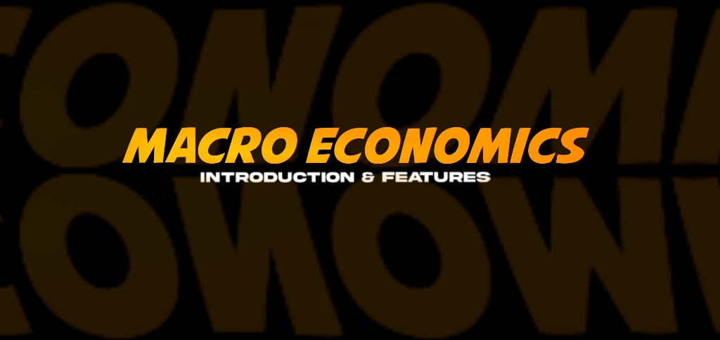 what-is-macroeconomics-in-hindi-meaning-of-macroeconomics-in-hindi