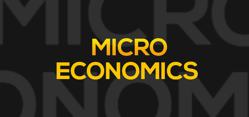 what-is-micro-economics-in-hindi